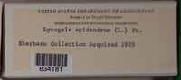 Image Associated With the Occurence